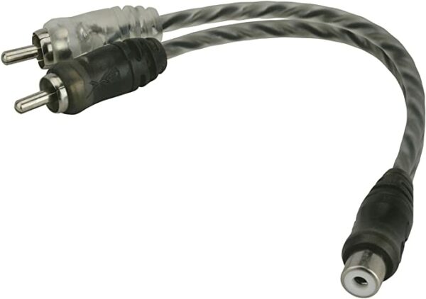 Y Rockford 1F/2M